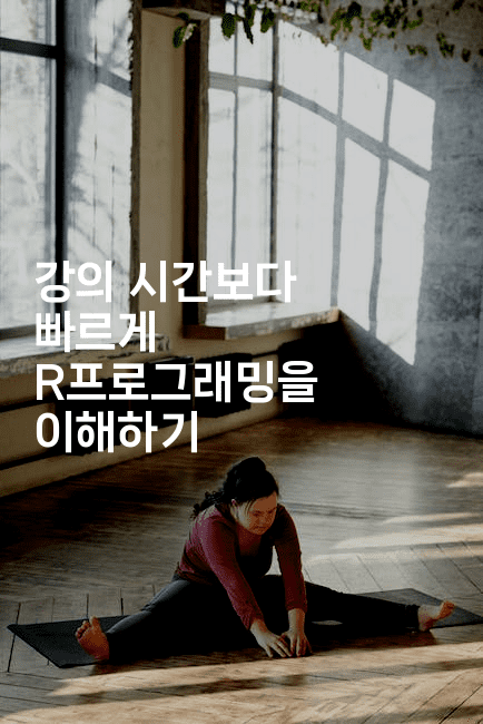 강의 시간보다 빠르게 R프로그래밍을 이해하기-스탯미