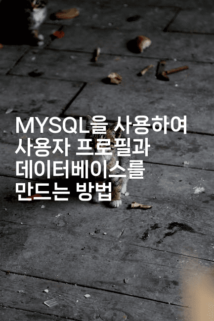 MYSQL을 사용하여 사용자 프로필과 데이터베이스를 만드는 방법2-스탯미
