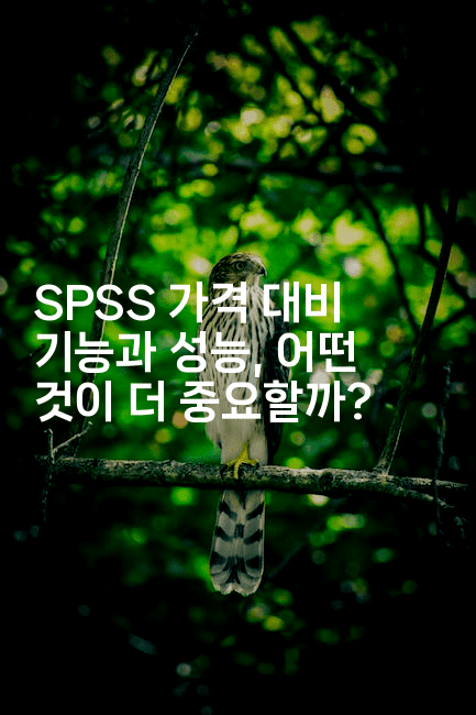 SPSS 가격 대비 기능과 성능, 어떤 것이 더 중요할까?