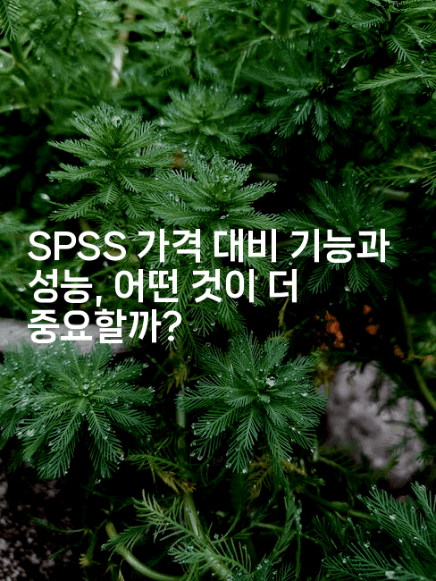SPSS 가격 대비 기능과 성능, 어떤 것이 더 중요할까?2-스탯미