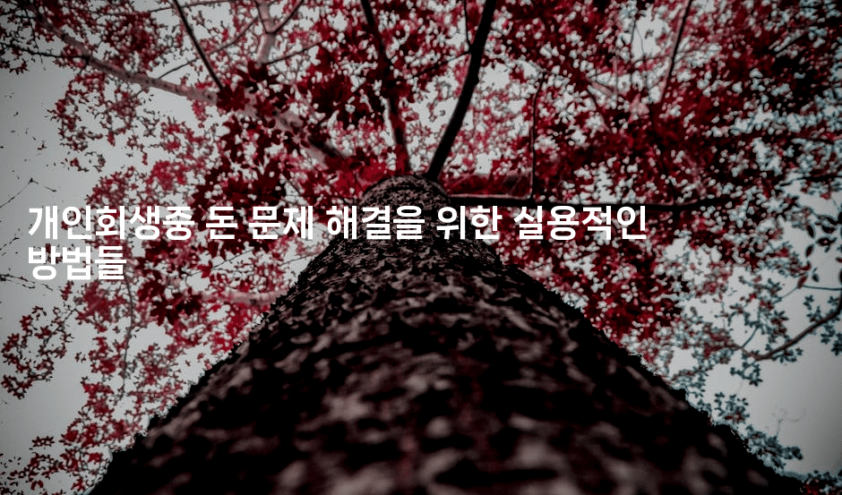 개인회생중 돈 문제 해결을 위한 실용적인 방법들-스탯미