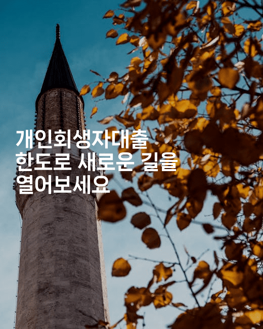 개인회생자대출 한도로 새로운 길을 열어보세요