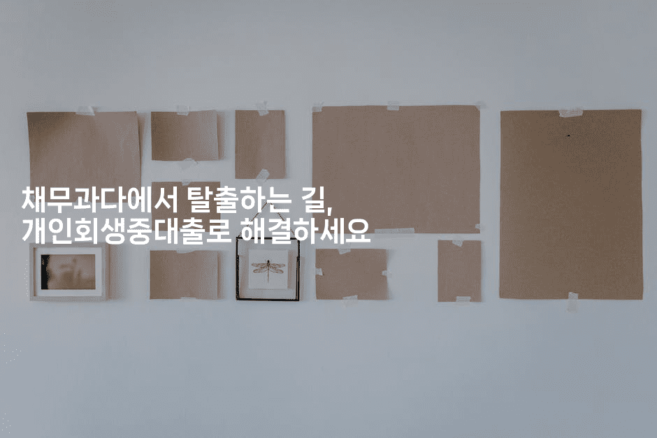 채무과다에서 탈출하는 길, 개인회생중대출로 해결하세요-스탯미