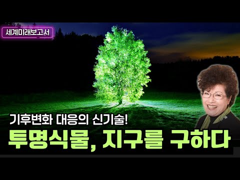 [세계미래보고서 2024-2034] ?기후변화 대응의 신기술❗ 투명식물, 지구를 구하다❗ ?‍?‍?‍? 박영숙신간 경제경영 10위