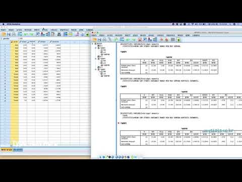 #통계분석 #IBM-SPSS #통계 IBM SPSS 강좌 - 기술통계 / 옵션 [www.mystats.co.kr]