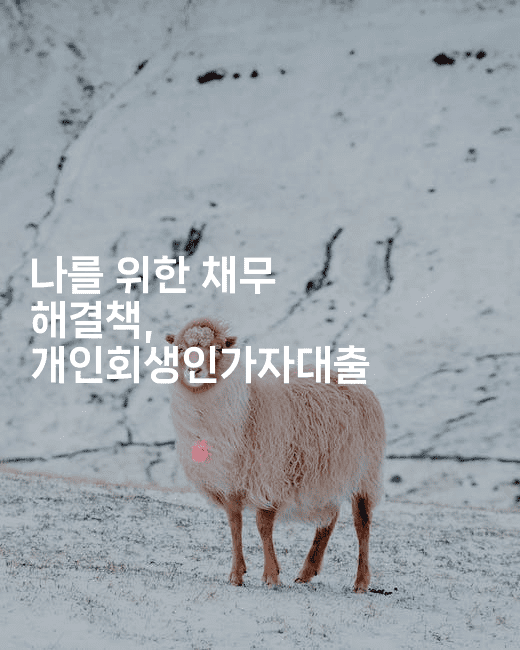 나를 위한 채무 해결책, 개인회생인가자대출