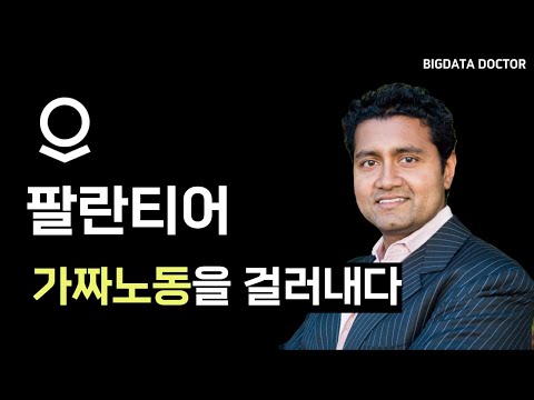 팔란티어는 어떻게 가짜노동을 걸러낼까 (Builder)