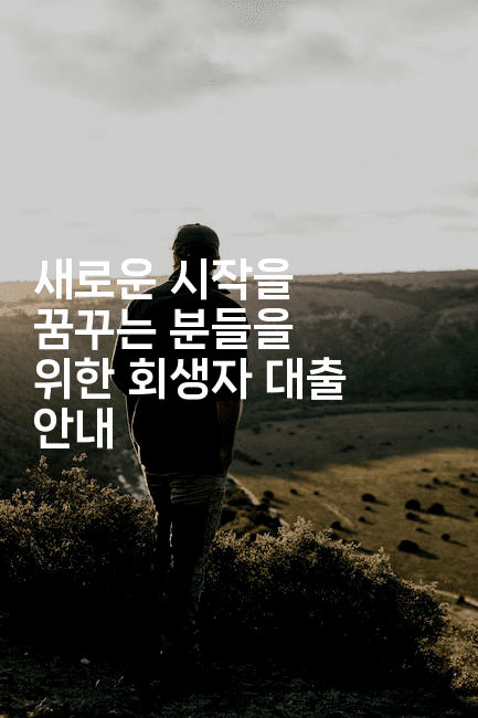 새로운 시작을 꿈꾸는 분들을 위한 회생자 대출 안내-스탯미